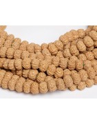 Ρουντράκσα – Πνευματική Προστασία & Ισορροπία | NB Store Crystal